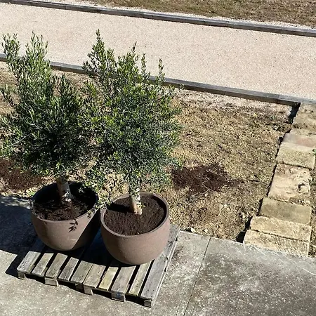 Maison Cabet فندق مبيت وإفطار Castelnavet