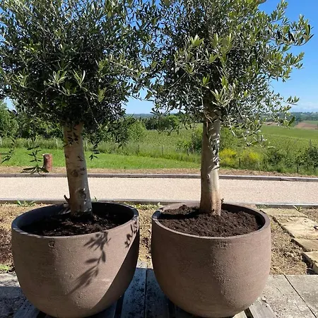 Maison Cabet Castelnavet